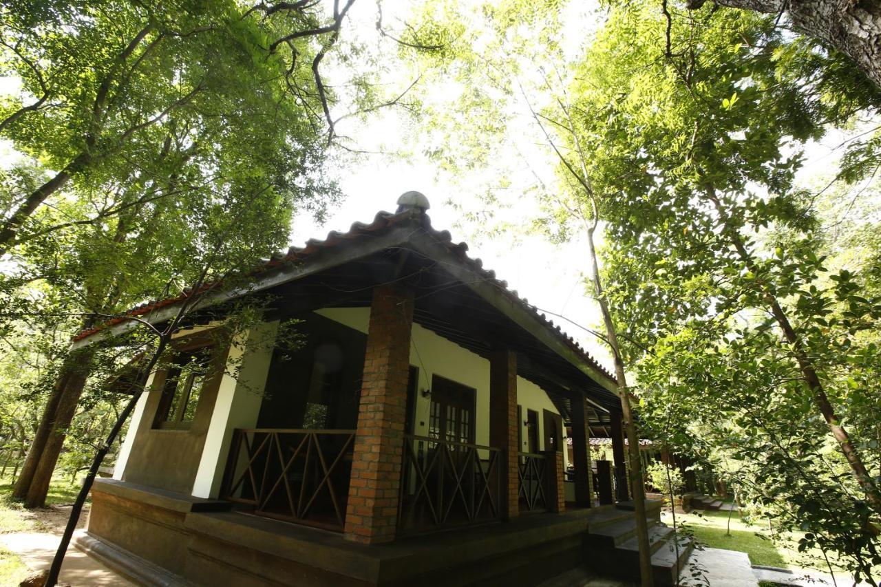 אנוראדפורה Palm Garden Village Hotel מראה חיצוני תמונה